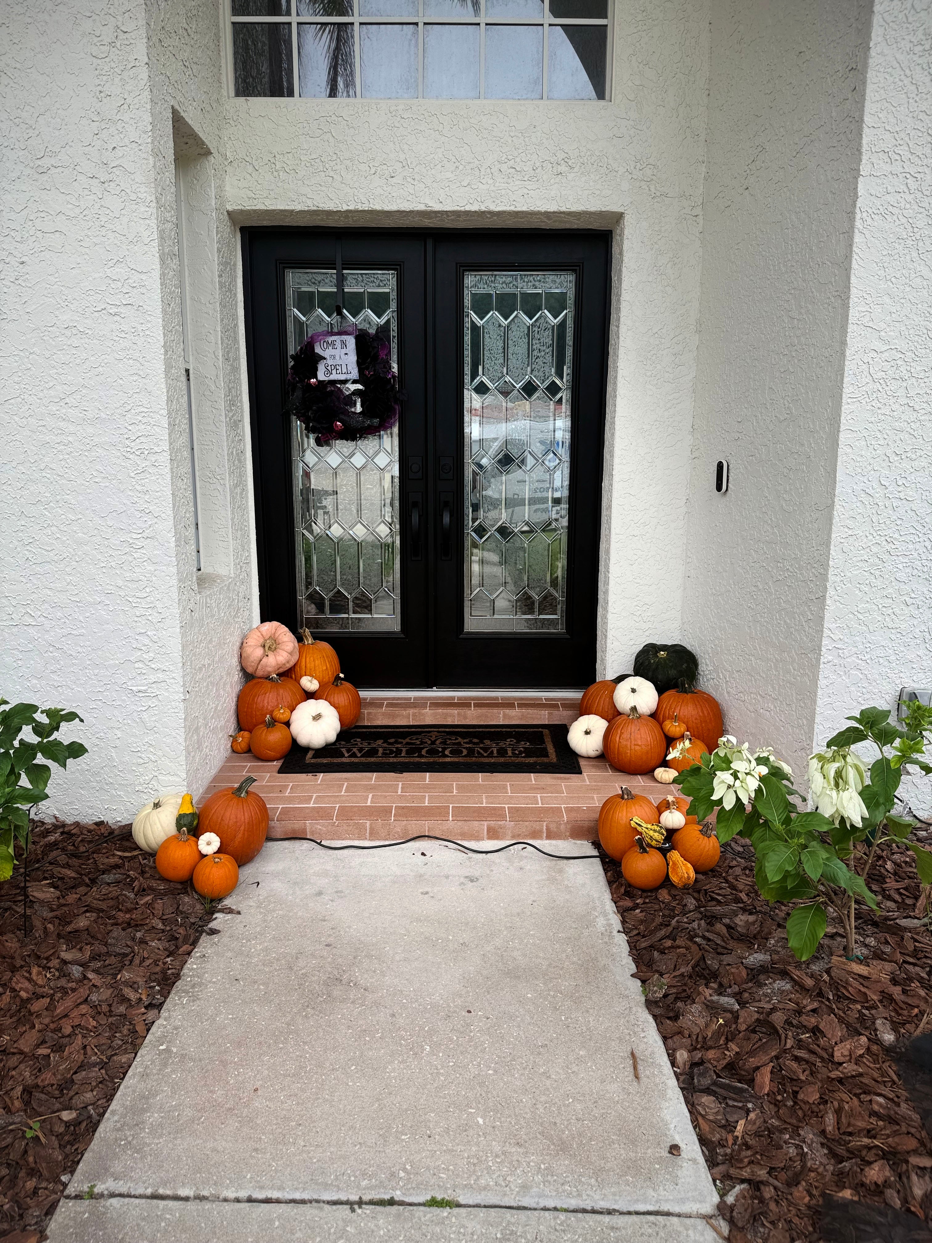 The Great Pumpkin