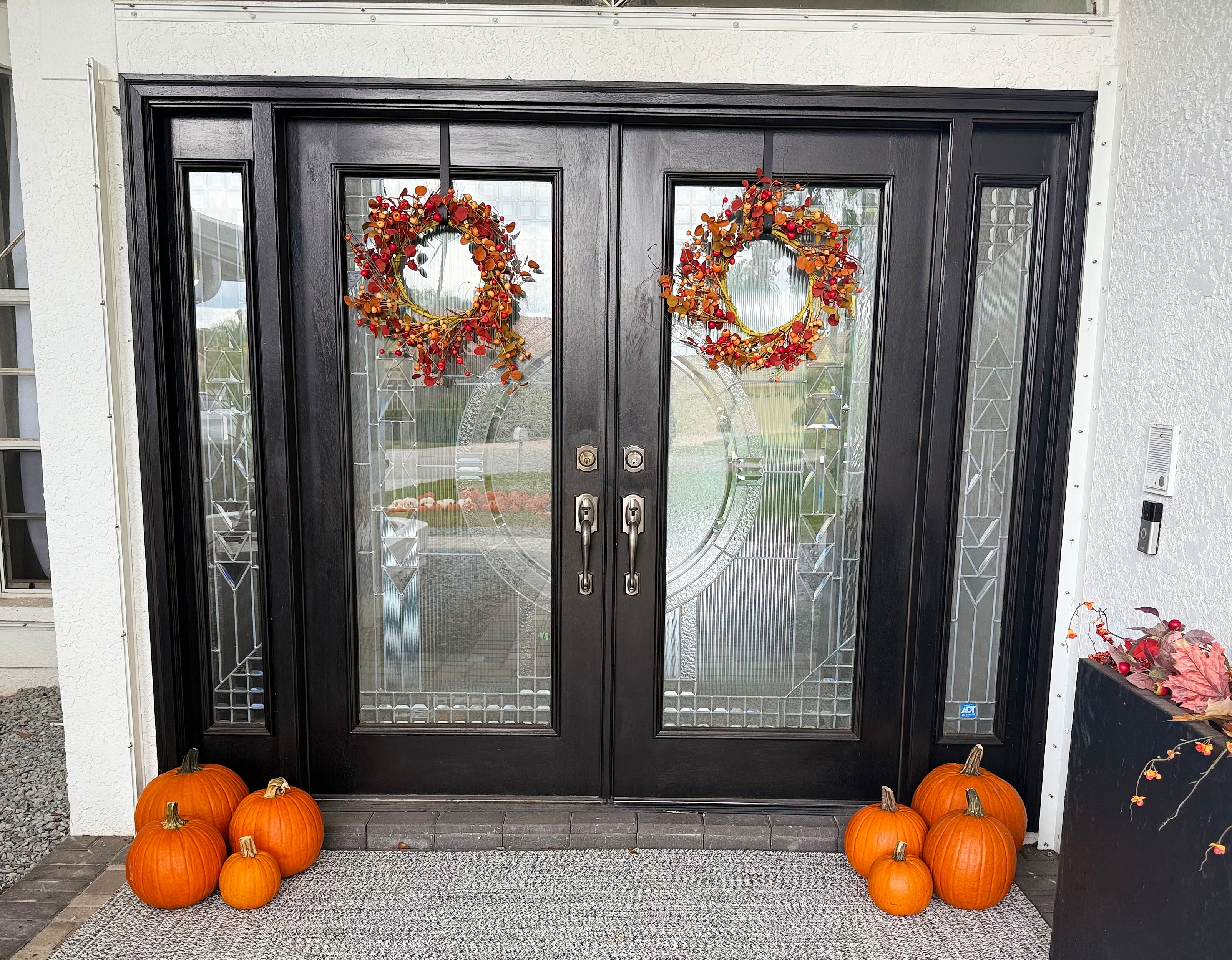 Petite Pumpkins
