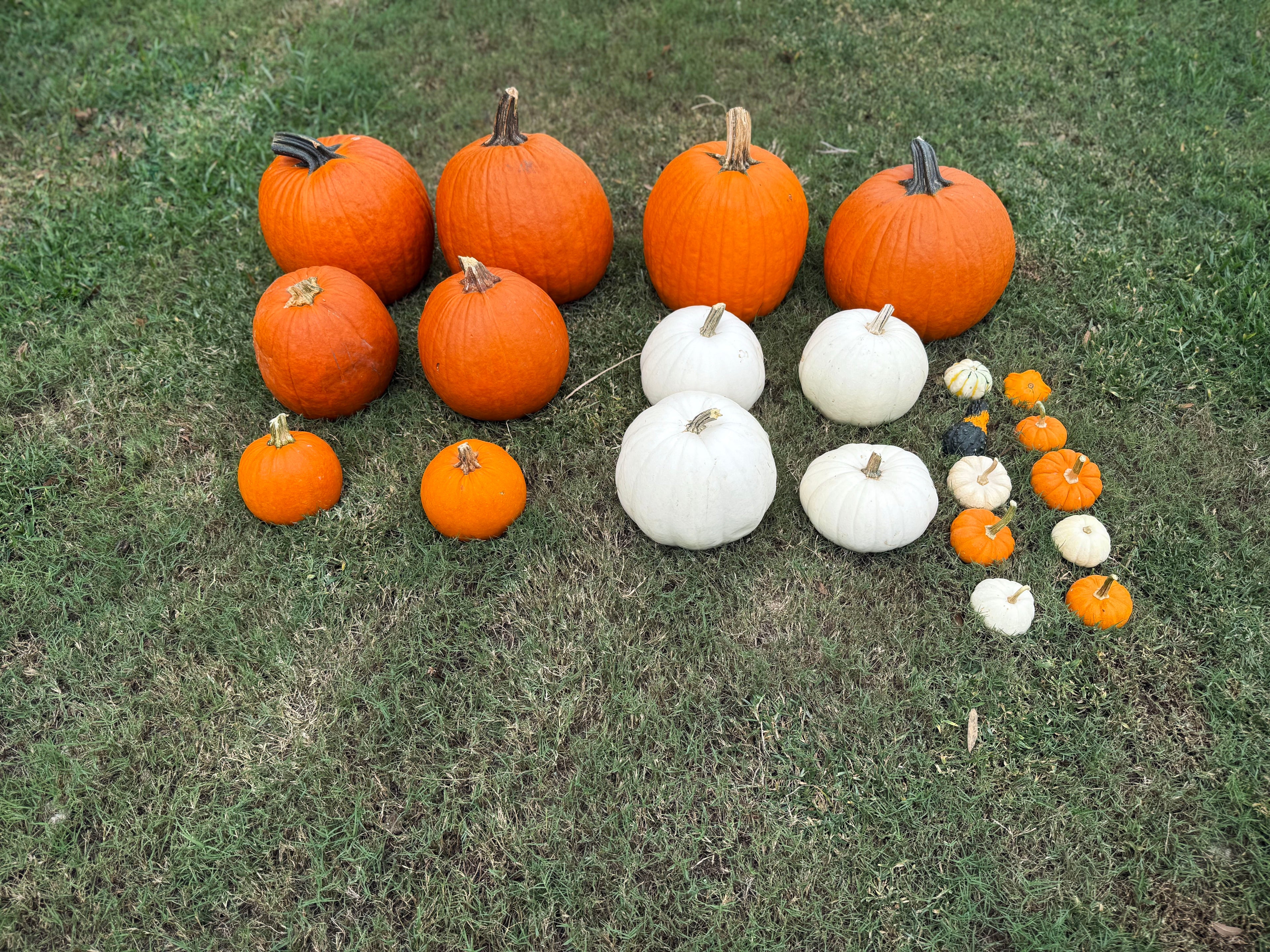 Harvest Haven