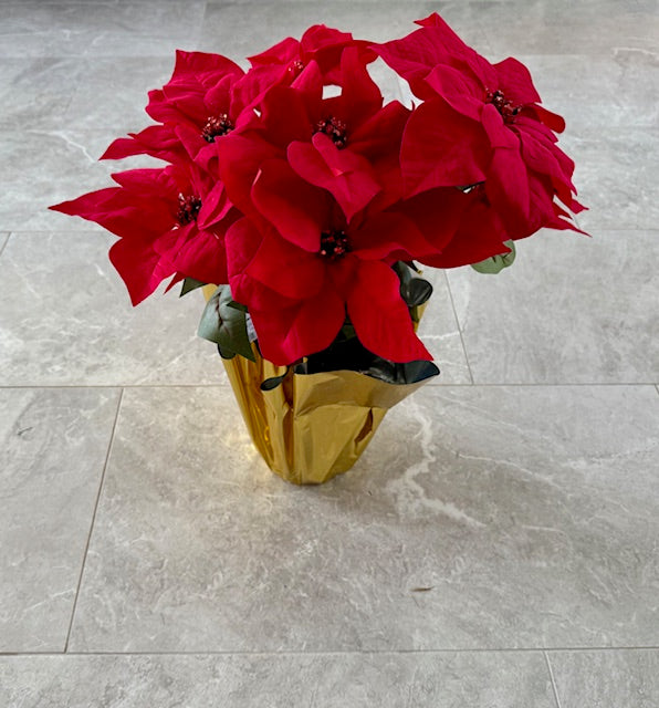 Red Poinsettia- Add On