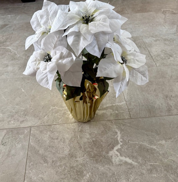 White Poinsettia- Add On